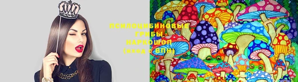 MDMA Premium VHQ Алзамай