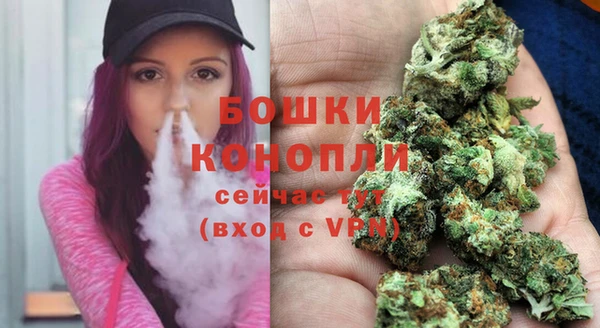 сатива Наволоки