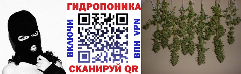 наркошоп Ачинск Конопля Amnesia